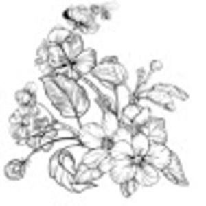 Meet your Posher, Willow